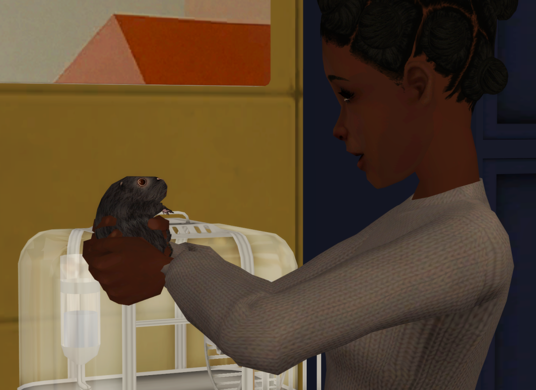 Sims2-EP9-RPC-2023-02-14-20-32-34-74