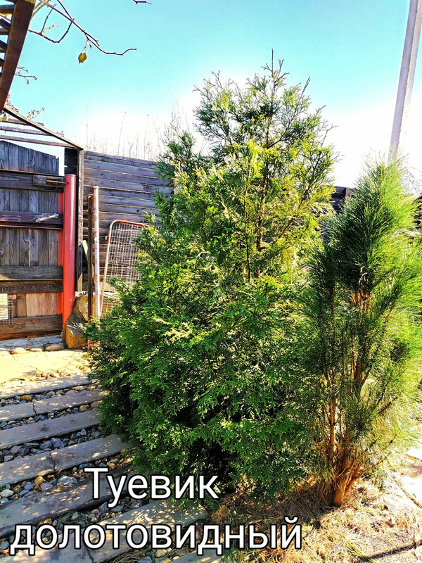 IMG-667621885c7756dec0a9dc586bd206f6-V~2