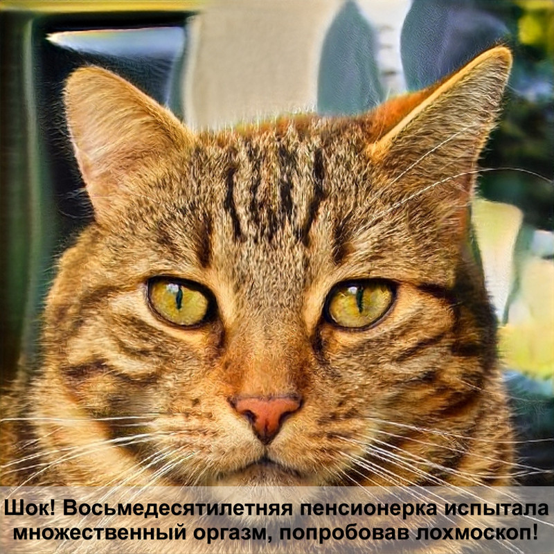 какая самая дикая кошка