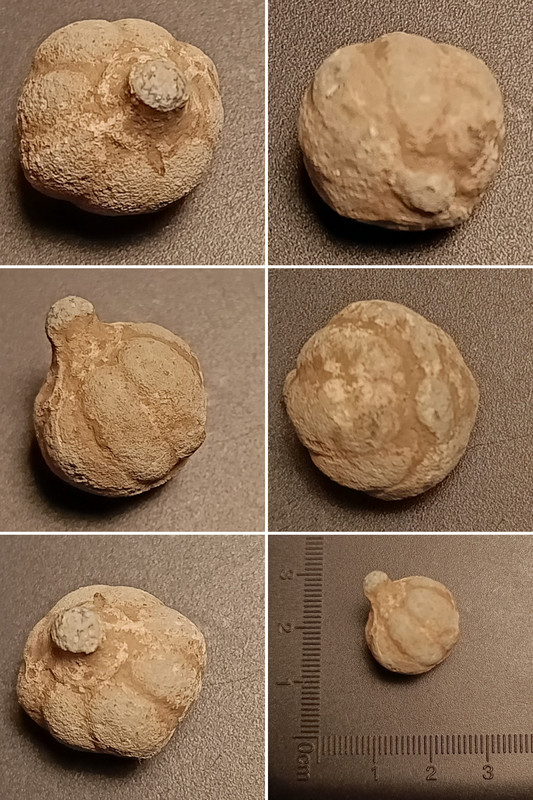 20251212 084022 COLLAGE