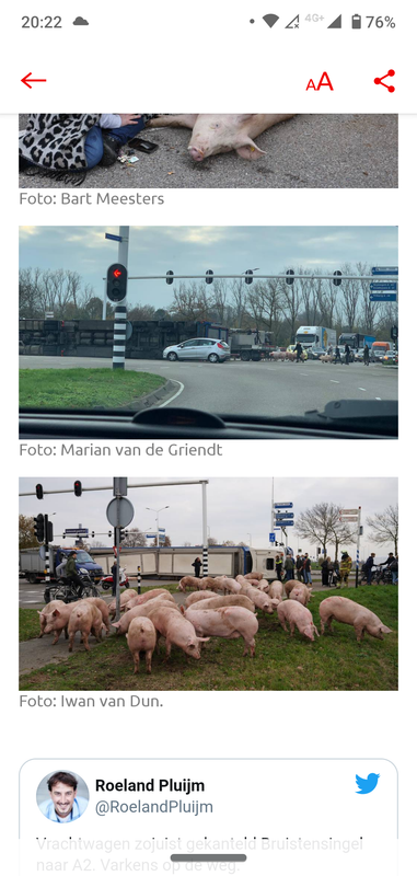 Screenshot_20201125-202248