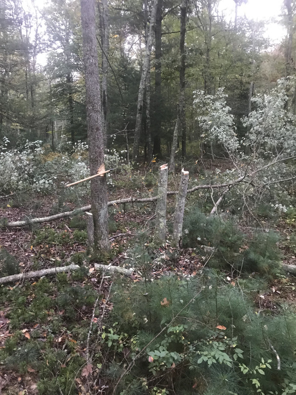 1F55E3B2-8C85-4E54-9122-BBBC1B299AB7