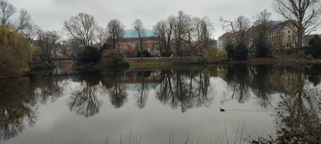Dusseldorf, Frankfurt, Colonia (23-26 Febrero) - Blogs de Alemania - Llego a Düsseldorf (8)