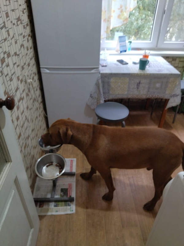 64311687-8B27-4895-8693-2D00CA07CF41