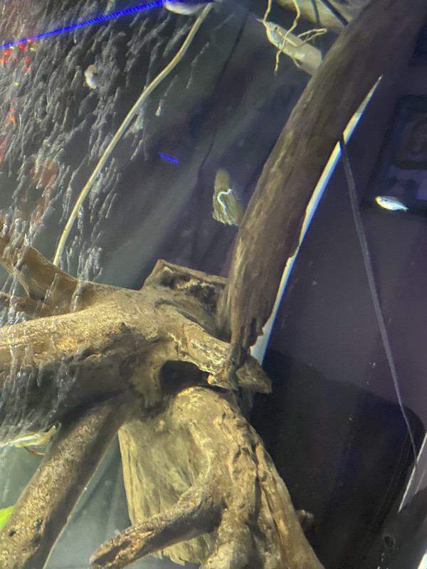 81B0F751-2C2B-4AAA-B50F-28D9ED92DB61