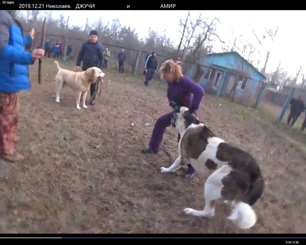 2019.12.21 АМИР х ДЖУЧИ Украина Николаев 2п 4