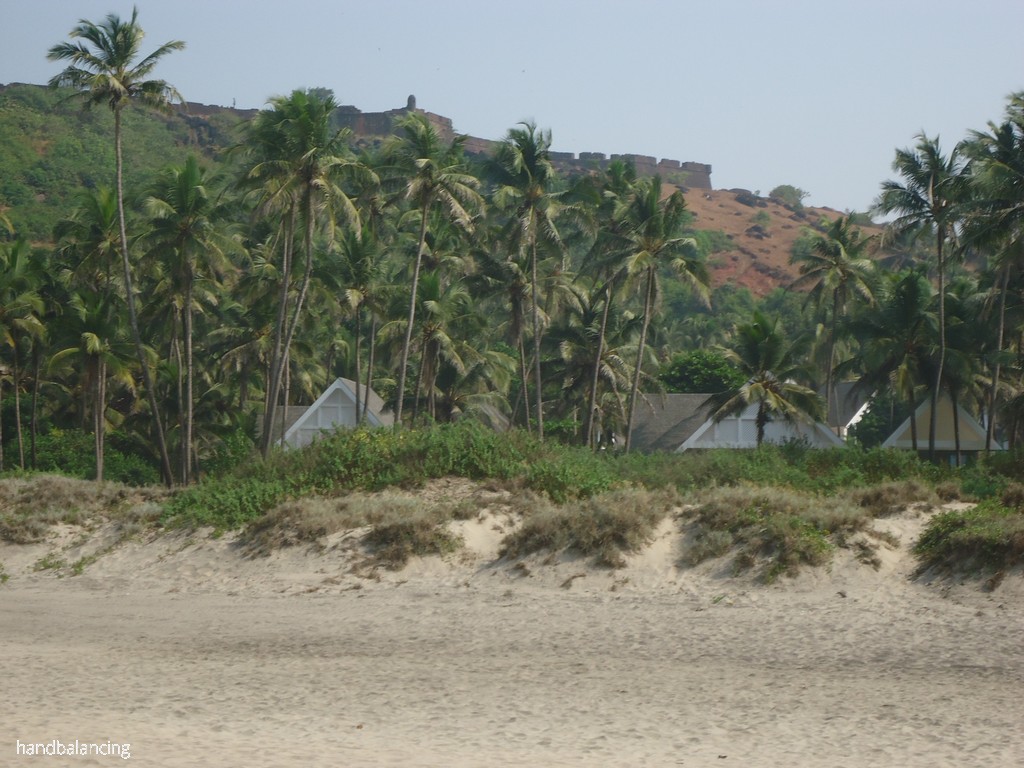 DSC05966