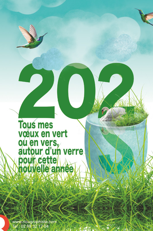 CARTE DE VOEUX