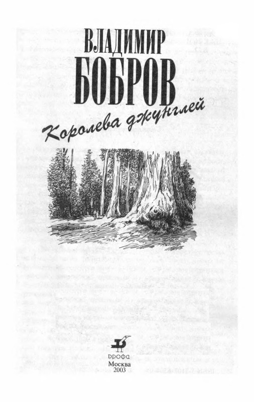 p0006