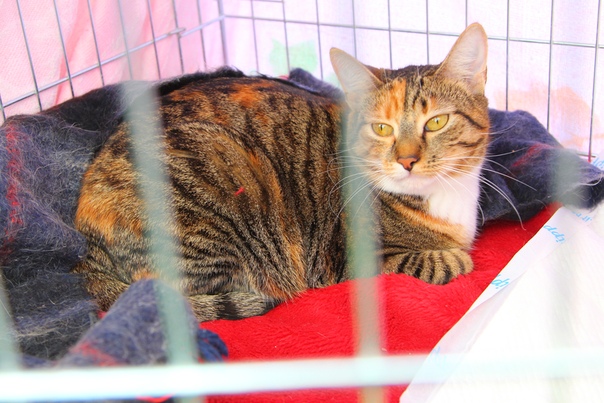 6A2E8B62-DFDB-4E89-A15C-B96BF24C33EB