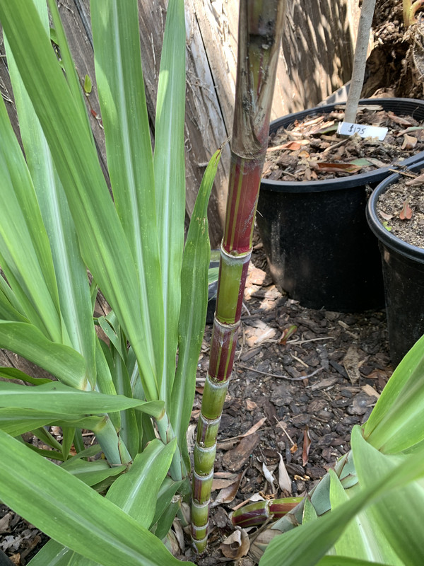 4433003F-045E-4F70-8B23-C99AB4606537