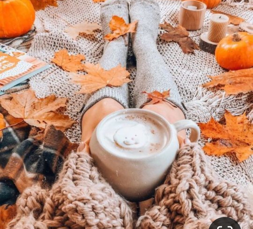 Screenshot_20231015_201121_Pinterest