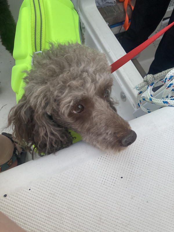 CFDE6A46-35EA-4966-8B45-B7668E649166