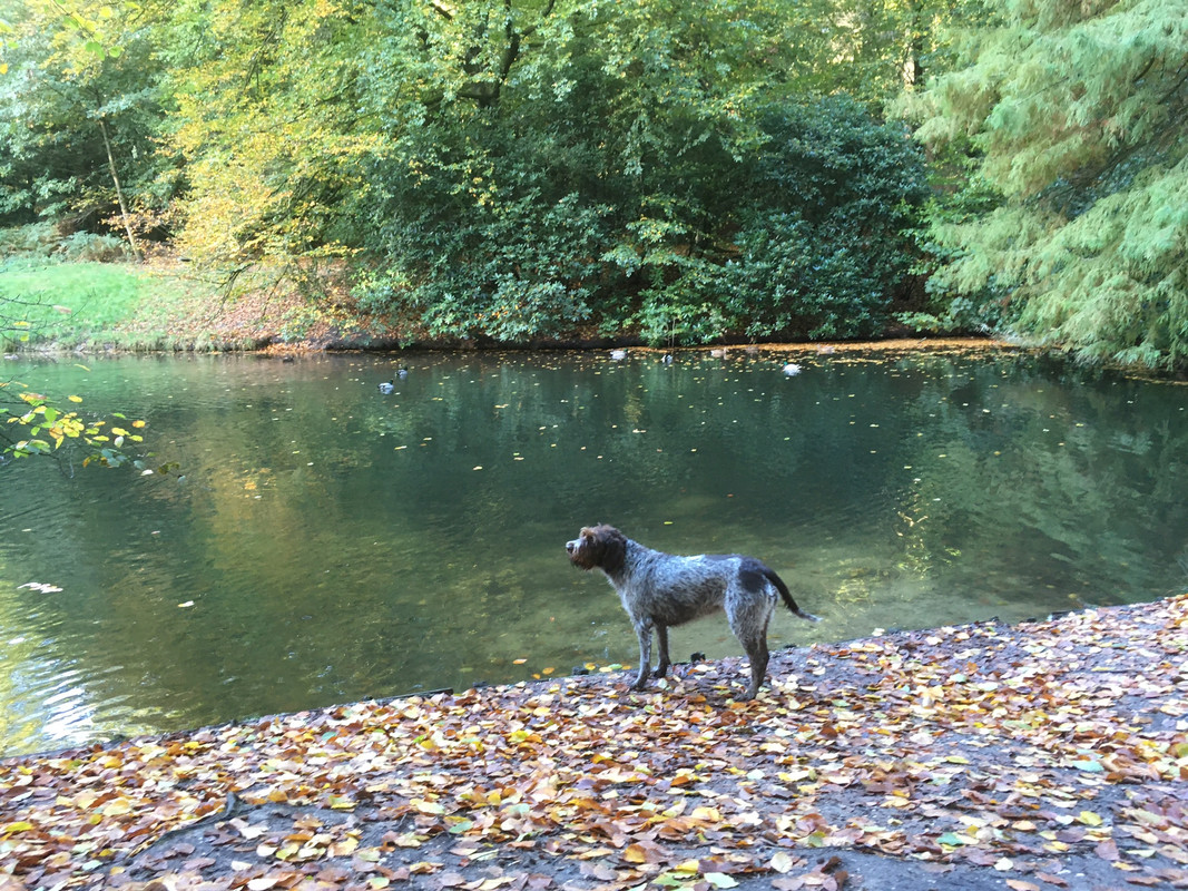 2023-29-10 Claire bij eendjesvijver 2 IMG_2818 (002)