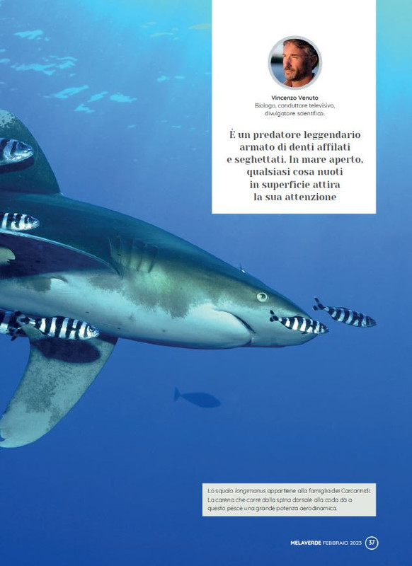 melaverde Feb 2023 (2)