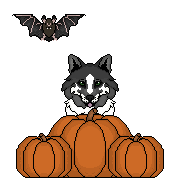 HW-YCH-Base-starwolfs-Forest.png