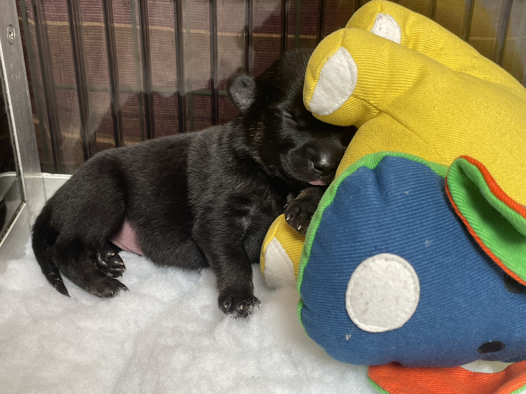 A536B320-5998-4969-959C-90A03EE714C9