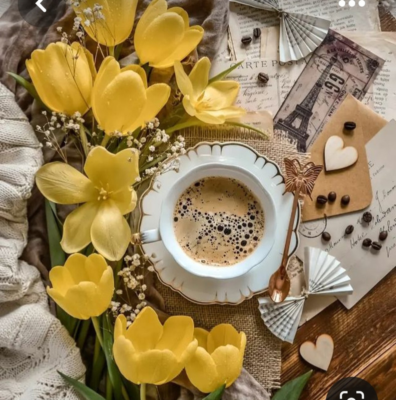 Screenshot_20230328_144506_Pinterest