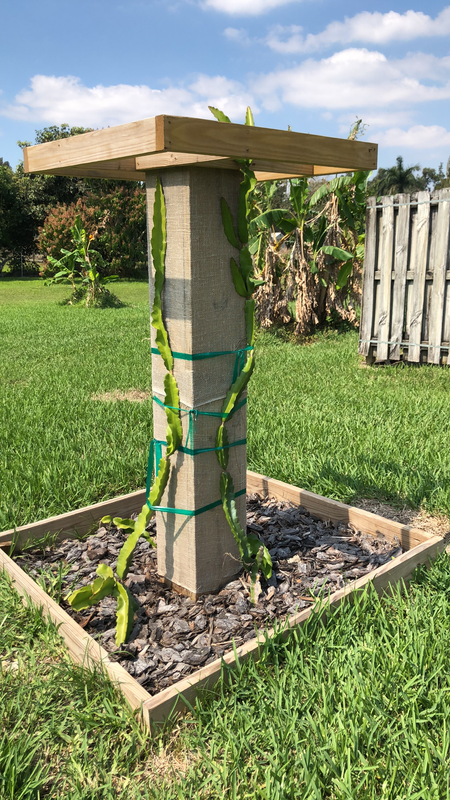 156425022_183836803219727_2220226927452211784_n