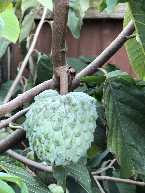 9699DC0F-414F-4D24-B835-B08509A8A1D5