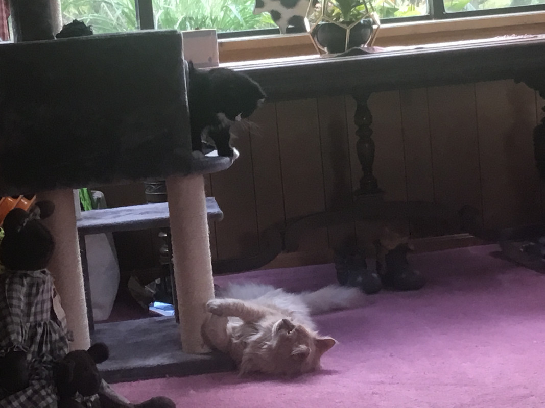 2AAB9E08-12B0-44C5-B570-167E2FB1EF58