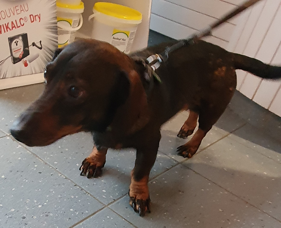 [Image: 20210206-201427.jpg]