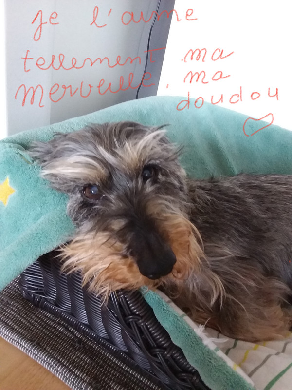 [Image: 20220302-132038.jpg]