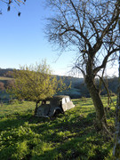 IMG-8541.jpg