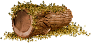 TADD_elements_Shimmer_Fall_48