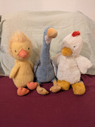 PXL 20260220 065943774 MP