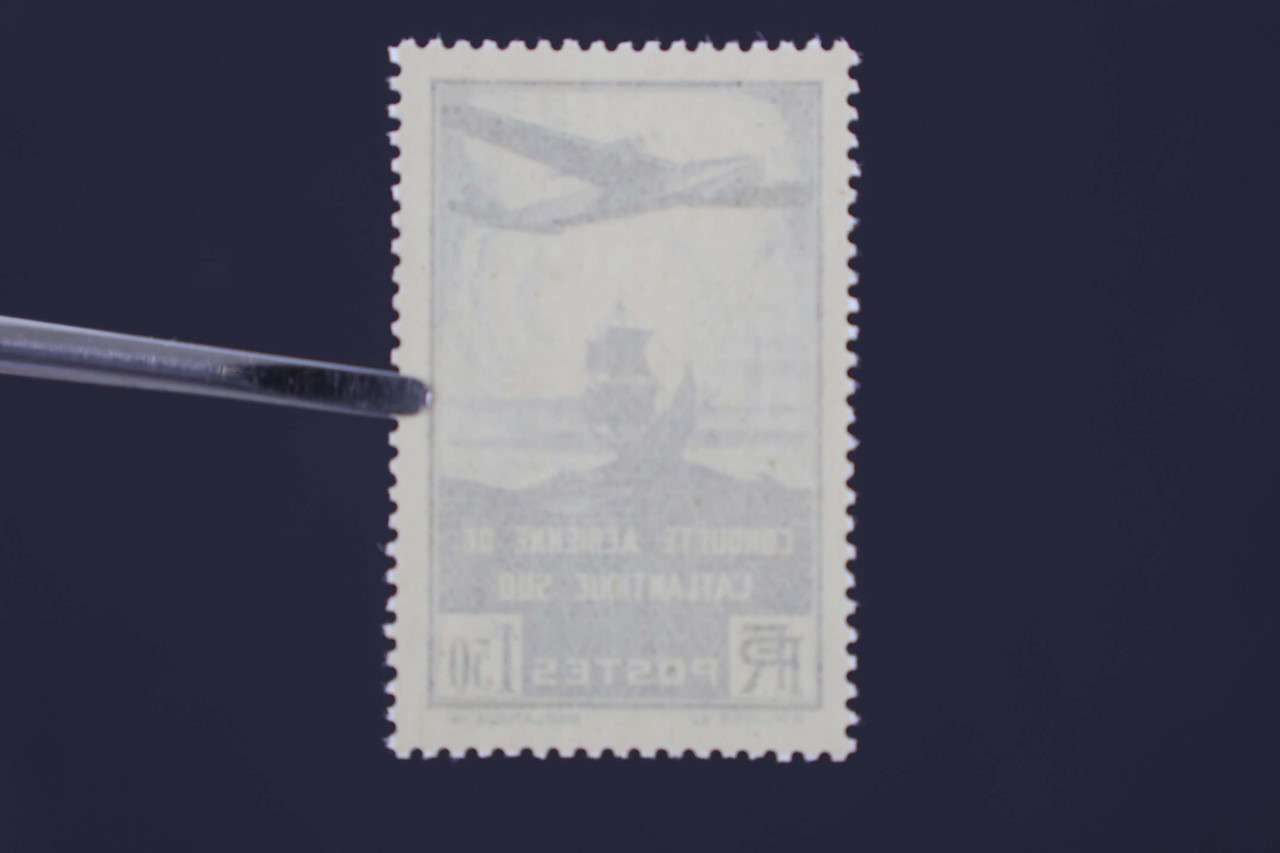 IMG 0505