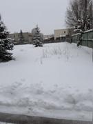IMG-6524