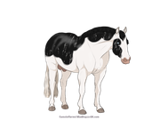 E7609758-092E-49AE-AA45-40FE31D4F55C