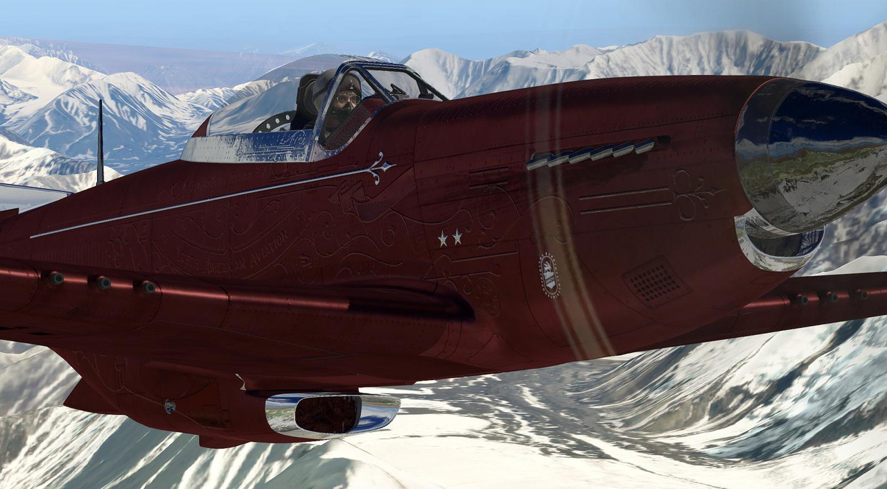 P-51D-13.jpg