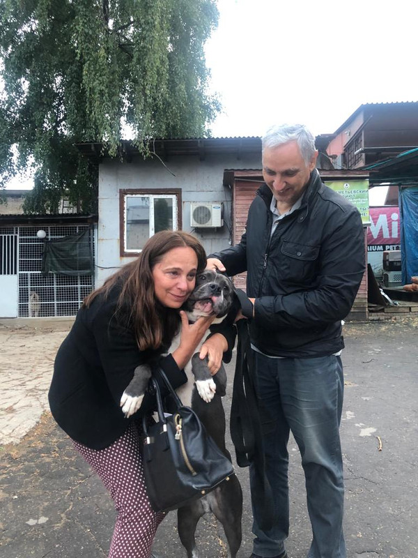 E7414EB0-8830-43BD-BB8A-46FD70599E03