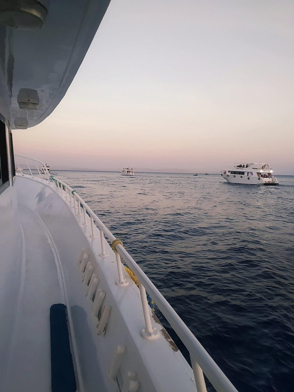 FD88C041-F29A-405C-8A60-09CA5AC35FB7