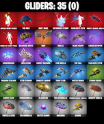 gliders-comp