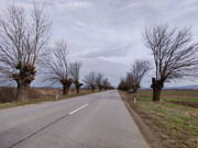 IMG-20200301-120532.jpg