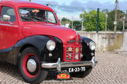 IMG-6469