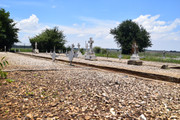 DSC-0302