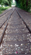 S1470181