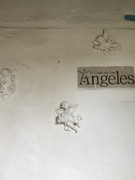 IMG-8451