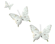 Winter-White-Elements-223