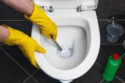 cleaning-toilet-ring