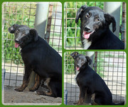 Be-Funky-collage-17.jpg&key=8a4c0b65998b