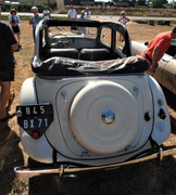 11-B-50-52-blanche-BX71-2.jpg