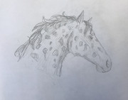 19ECCDA3-27A1-46C1-8D89-D1CB1FBF451B