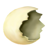 0-1c0c9e-fbb535d5-orig