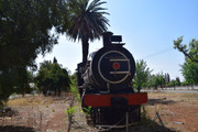 DSC-0040