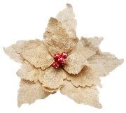 Country-Christmas-Kit-48